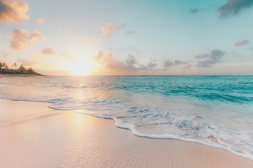 AceRota - Summer Holiday Staffing: Plan Ahead or Pay the Price