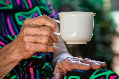 AceRota - Care Homes